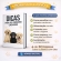 Kit Primeiro Cachorro Acessórios Filhote Comedouro Guia - Fêmea